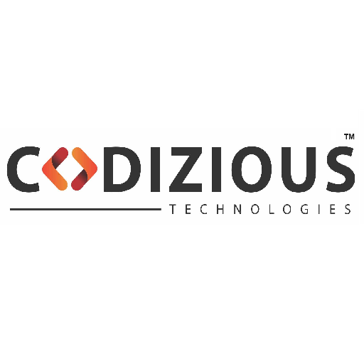 Codizious Support